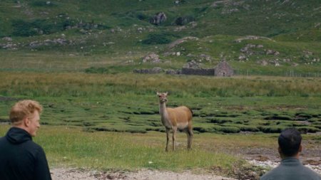 The North – Bild 3