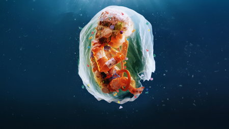 Plastic People – Bild 1